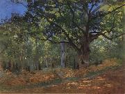 Claude Monet The Bodmer Oak,Forest of Fontainebleau oil painting artist